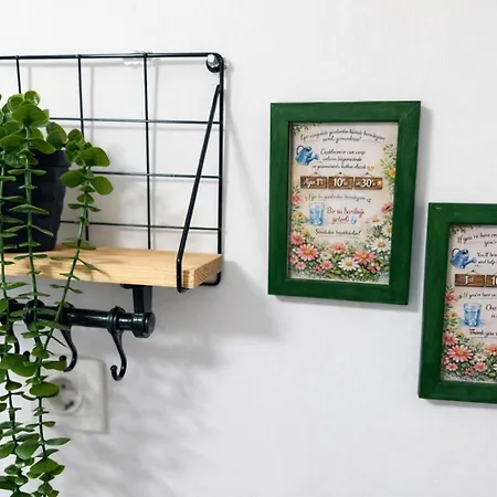 Appartement Kocer Konagi *