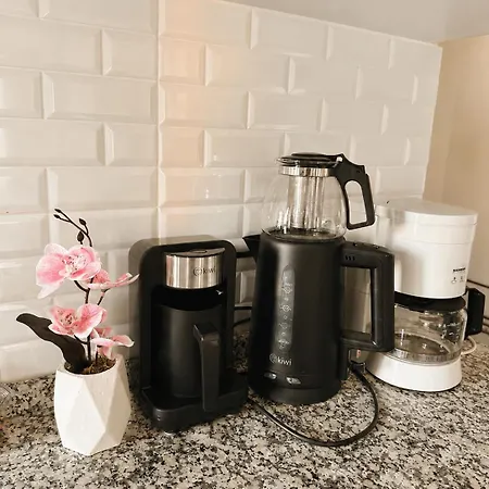 Appartement Kocer Konagi
